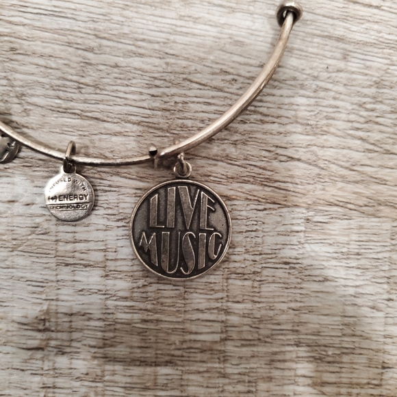 Alex and Ani Live Music Charm Bracelet - Picture 2 of 5
